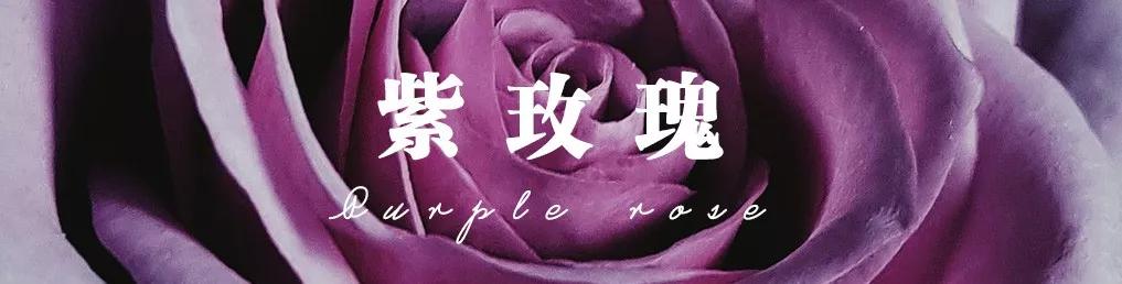 花店必备的5款玫瑰,花店常用的10款玫瑰花是哪些品种