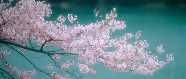 左眼跳财右眼跳灾这个说法准确吗,左眼跳右眼跳的真正含义绝不迷信