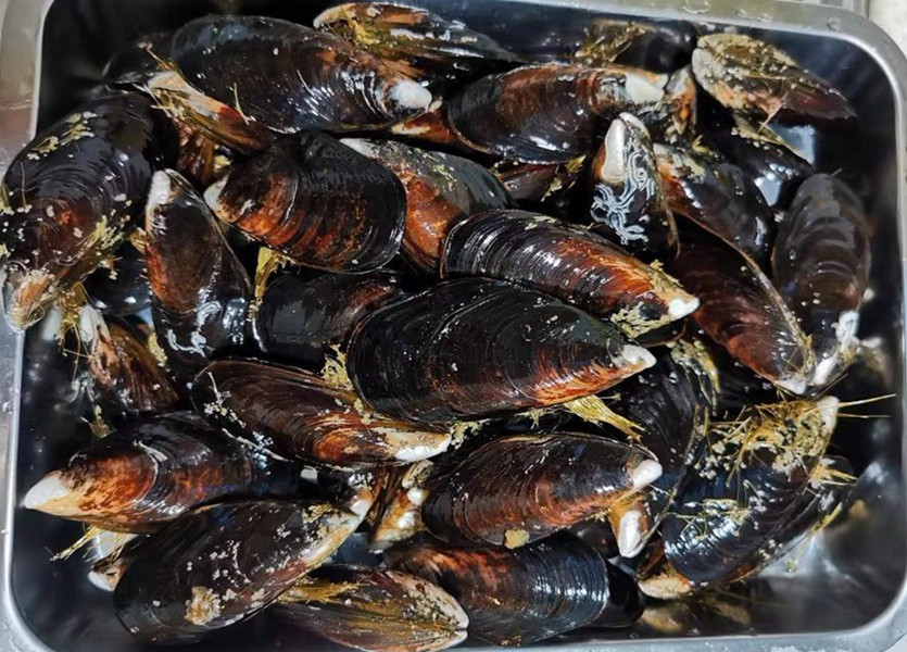 特色菜春天第一鲜,春天必吃的第一鲜