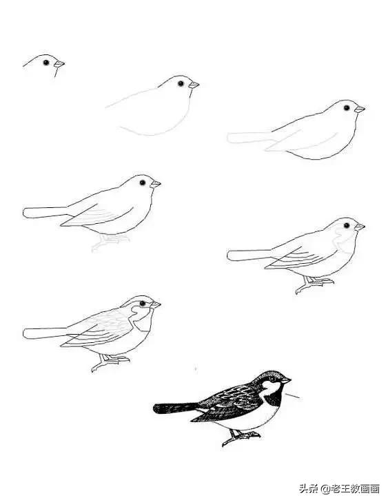 最简单的简笔画教程,超简单儿童简笔画入门初学