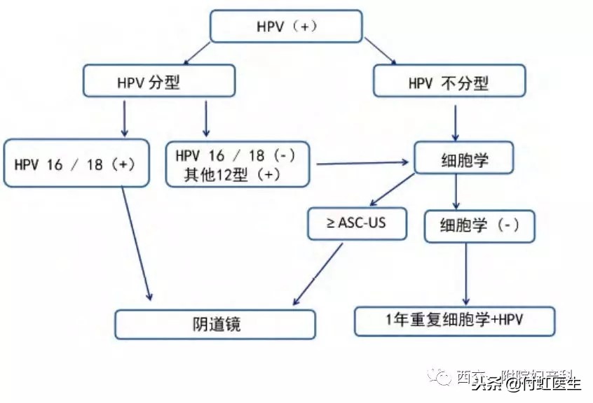 hpv筛查一定是宫颈癌吗,做了宫颈筛查没事还有必要做hpv吗