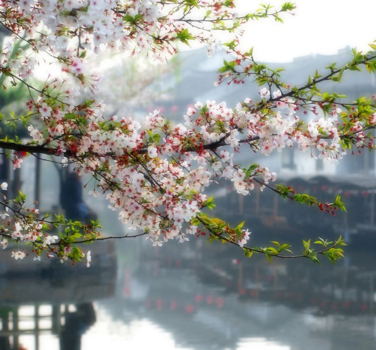 2020旅行时间表,2021年旅行时刻表出炉