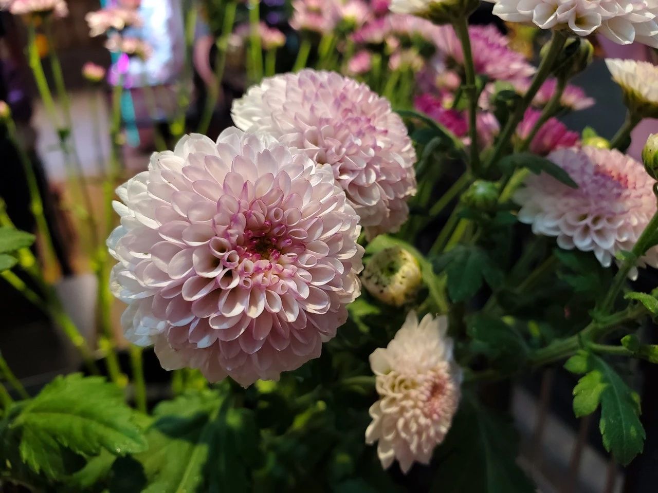 三星s10+港行价格,三星s10+港版与国行外观一样吗