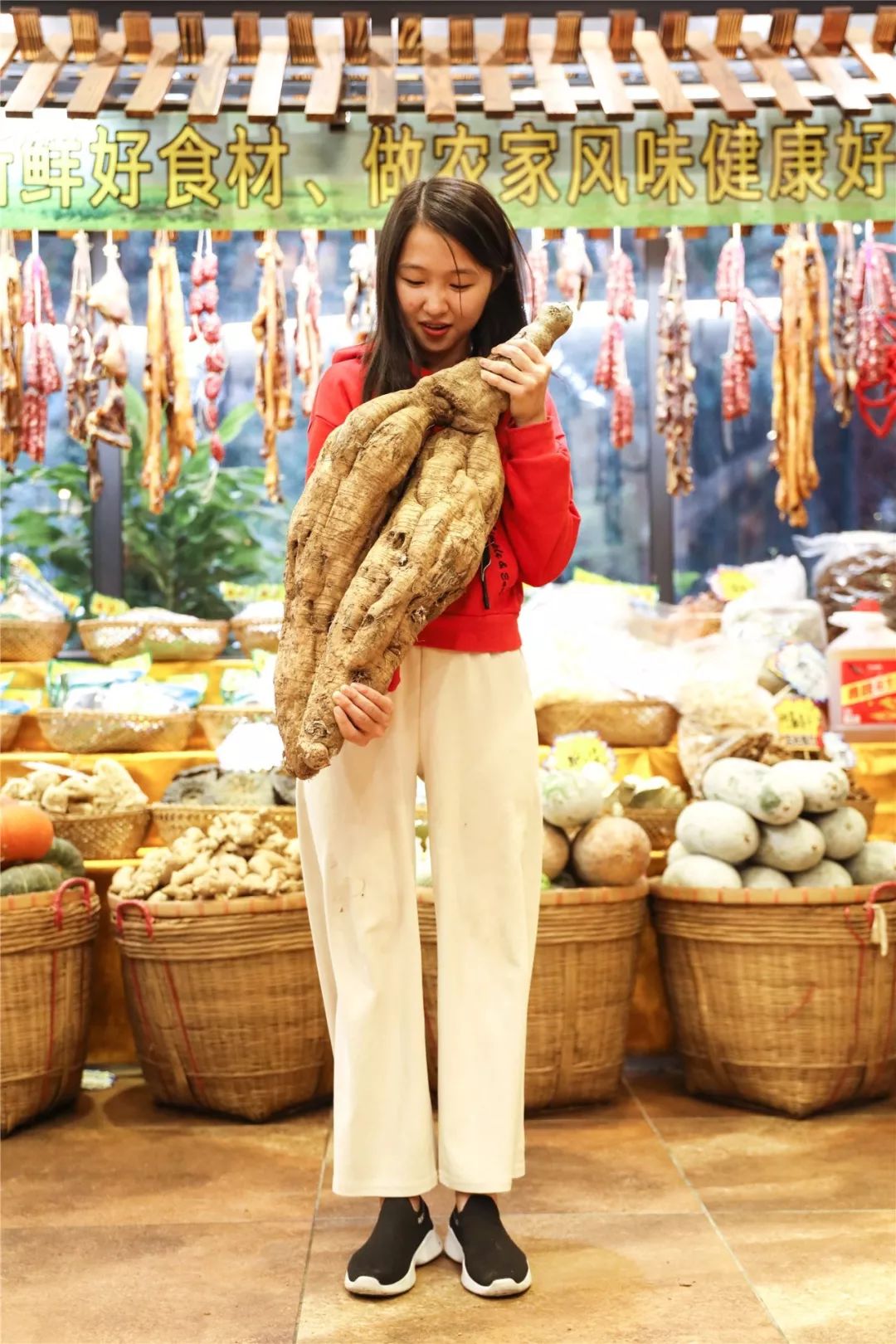 南海有家,南海食鹅哪家好