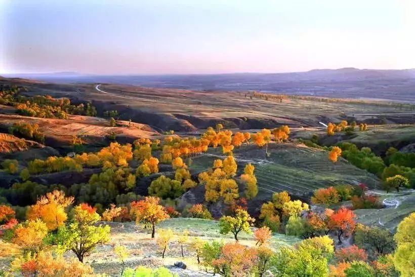 秋天最值得去的四个地方,秋天全部的风景