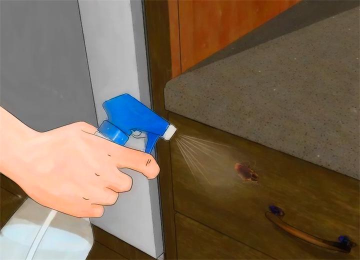 家里蟑螂太多怎么能彻底清除蟑螂,家里蟑螂多如何灭蟑螂