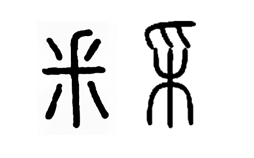 《说文解字》第124课：了解字义，“釆”和“采”就不会搞混了