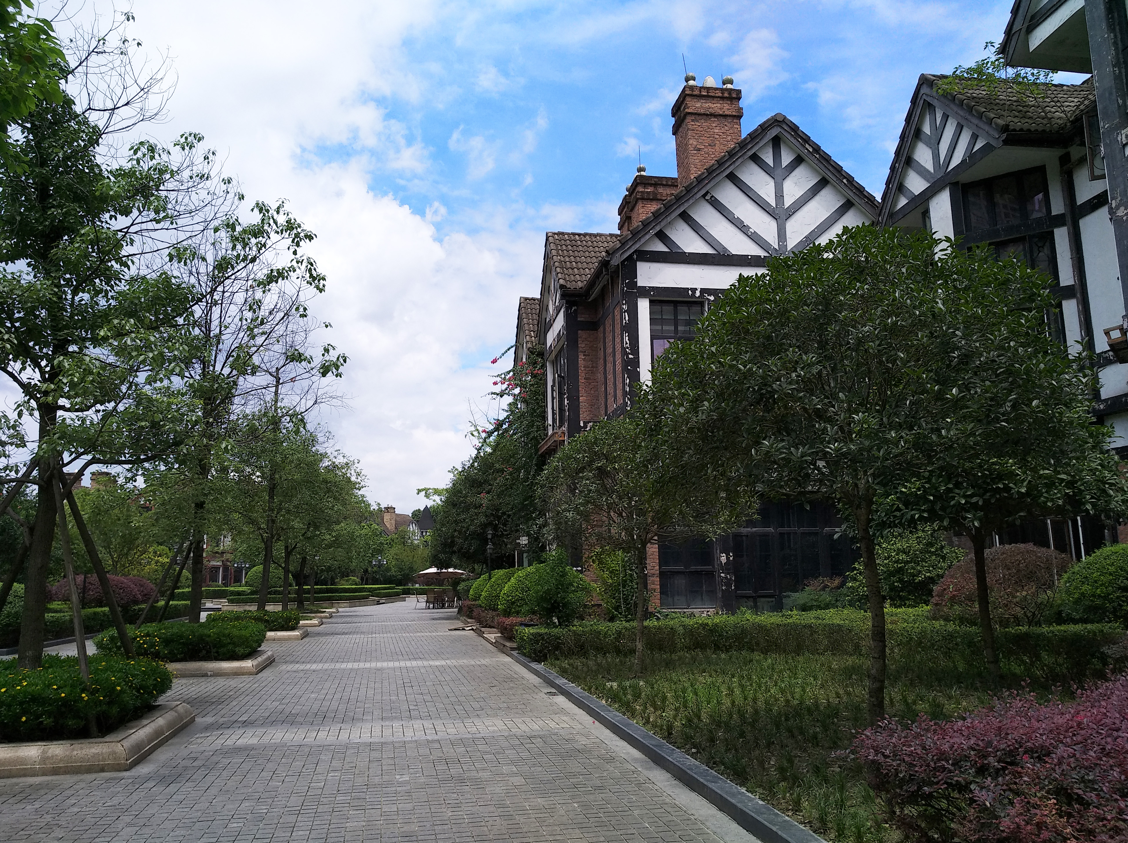 成都南湖公园钓鱼,成都南湖公园