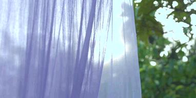 抖音全网第一名李子柒,李子柒抖音最火的女人