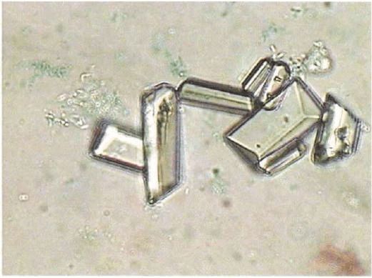 中药西药同时服用的原则,中药和西药应怎样吃