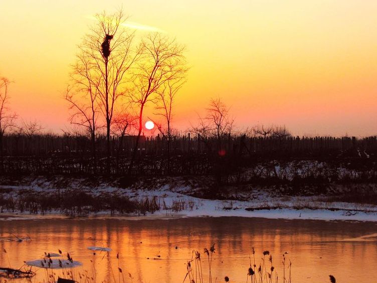 中国民居的演变过程,中国民居的现代发展