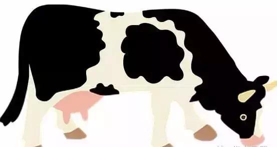 宝宝用品黑名单排行榜,五种宝宝用品被曝光