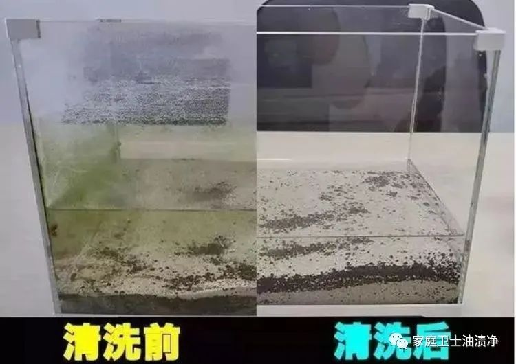 艳兰牌油渍净骗局,艳兰牌油渍净图片