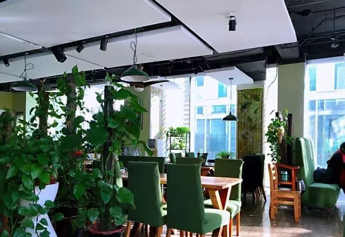 北京12家高端素餐厅,北京老字号素餐厅