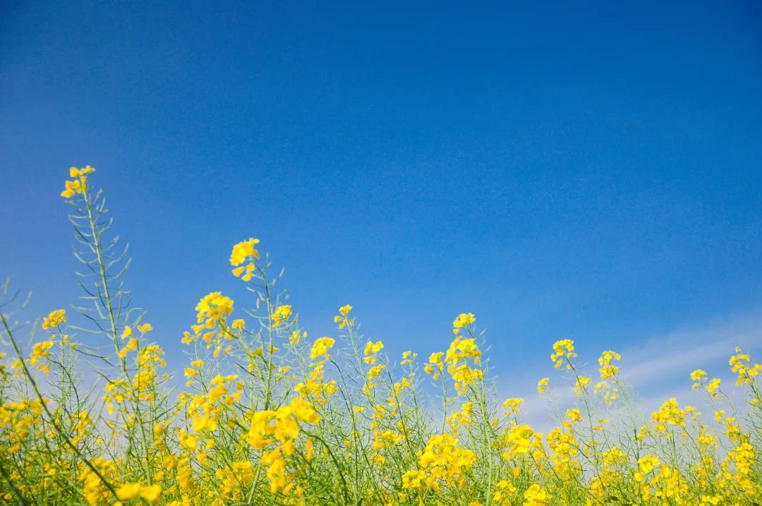 济南智慧教育区域建设,济南教育设施规划