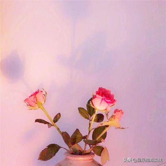 期货短线高手操作思路,期货日内短线冠军交易手法视频