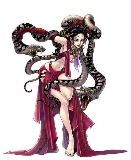 趣话民间故事视频,趣说奇闻异事十二生肖