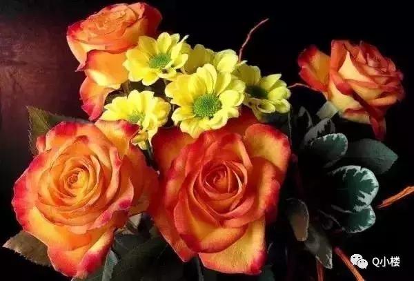 我们一起，还住汉阳