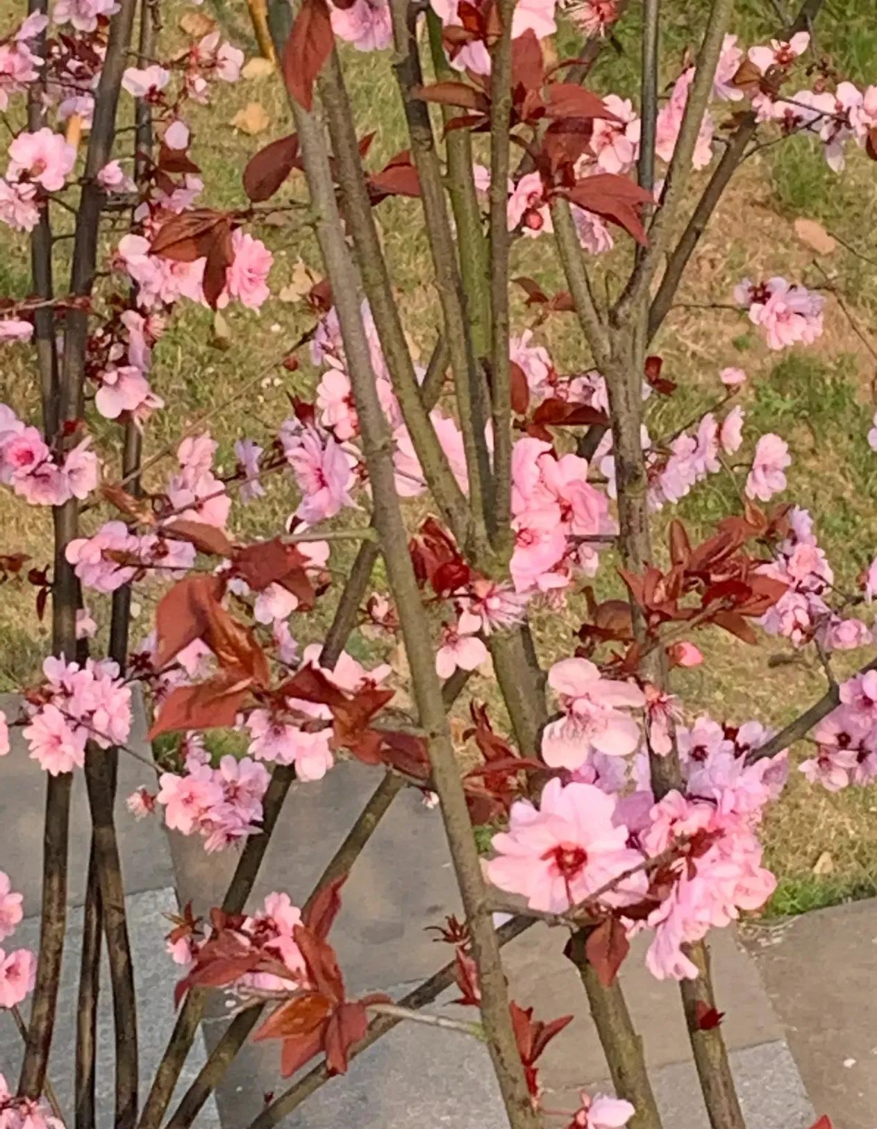 干掉错别字，只需要三步，贵在坚持