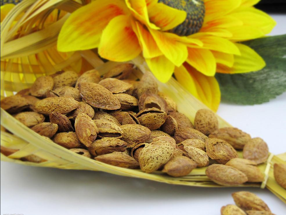 巴旦木是什么杏,什么是巴旦木