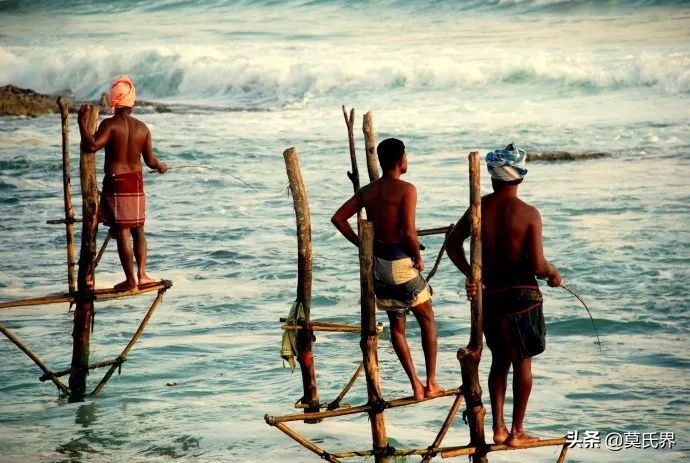 斯里兰卡古老而独特的垂钓方式,斯里兰卡独有的钓鱼方式
