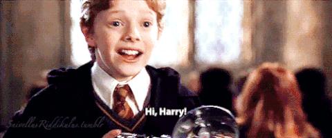 哈利波特四十岁生日的样子,哈利波特十九年后