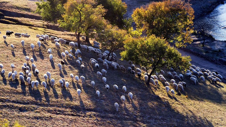 中国最美的51个地方，你去过几个？