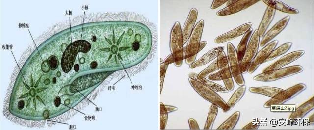 工业水处理要掌握哪些知识,工业水处理有什么坏处
