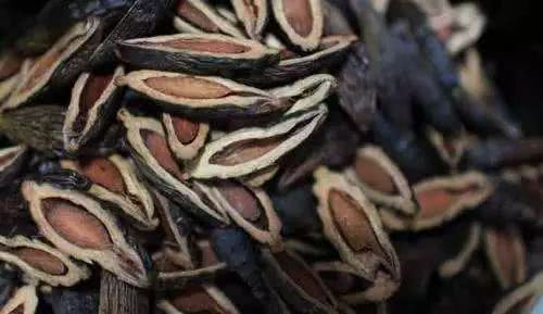 鎻湶妲熸涓庡彛鑵旂檶 (鍏充簬妲熸涓庡彛鑵旂檶鐨勫叧绯讳笌浣滅敤)