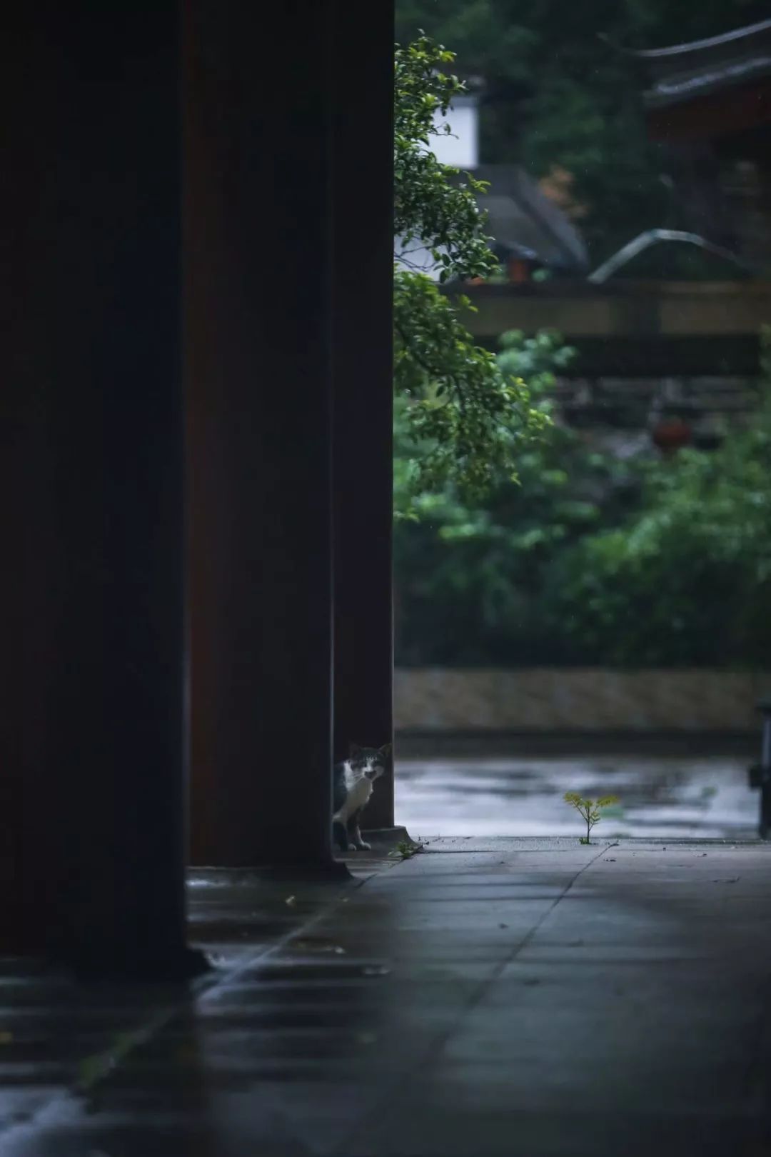 人间有味是清欢苏轼在哪写的,人间有味是清欢苏轼书法作品