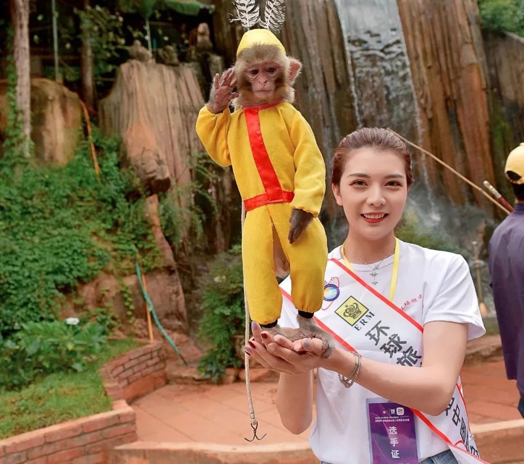 最近昆明有没有最值得去玩景点,推荐昆明最适合去玩的地方