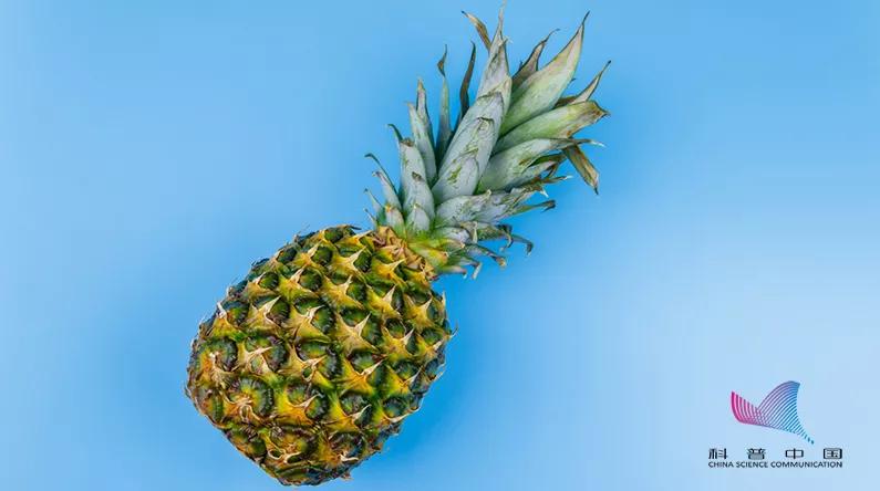 菠萝泡到盐水里有什么作用,为什么菠萝泡在盐水里