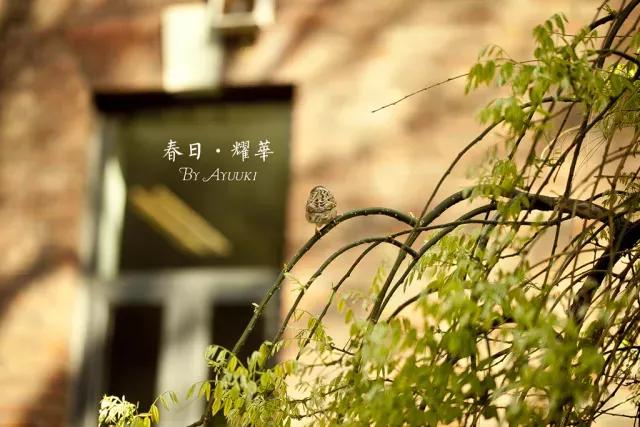 天津市耀华中学冯耀忠,天津市耀华中学招聘