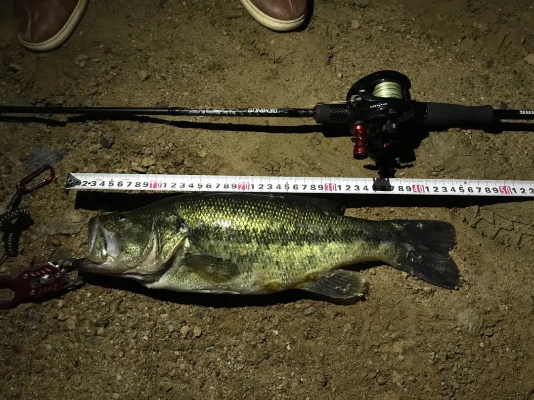 「渔获名人堂周榜」这两位粉丝钓友，你们太牛了