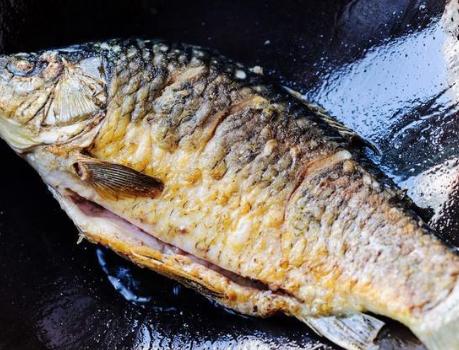 鲫鱼汤的正确做法不煎,鲫鱼汤怎么煎鱼皮不破