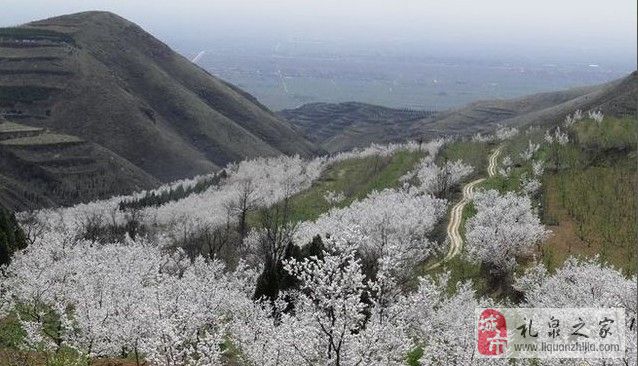 小鸡、石牛和老道——家乡传说