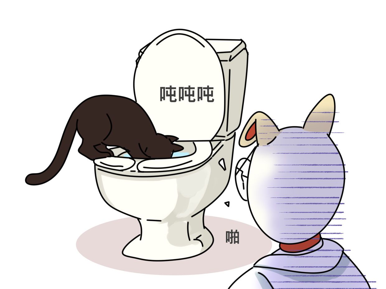 不爱饮用水，偏好一口马桶水，难道猫咪故意和主人作对？