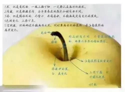 简单的以假乱真苹果怎么画,怎样画苹果简单好看