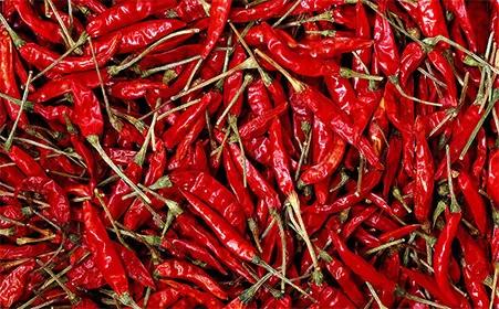 慢性气管炎最常见并发症,急性气管支气管炎主要表现症状