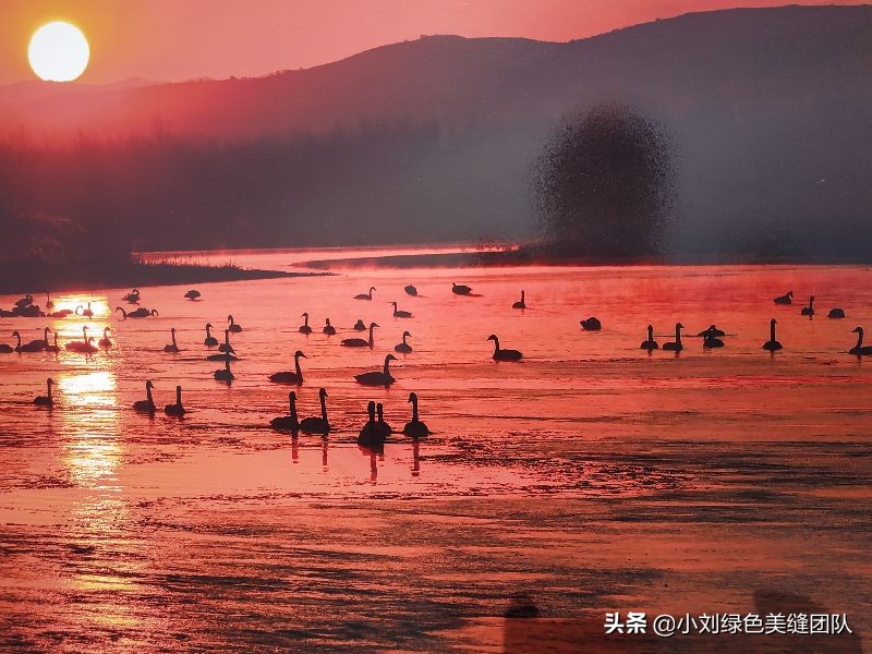 五一来北戴河赶海,五一去营口赶海