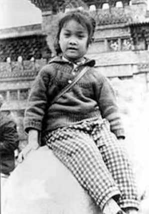 那英没成名前的照片,那英为什么不火了