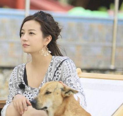 赵薇爆料拍少林足球,赵薇为什么接拍少林足球