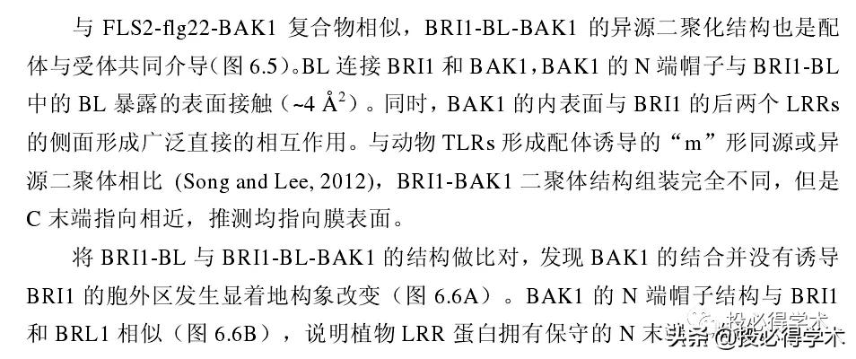 英文文献阅读概括技巧,快速阅读和总结英文文献神器