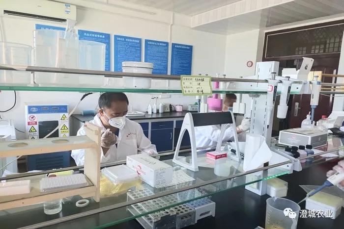 兰陵县疫情防控工作,布病防控宣传