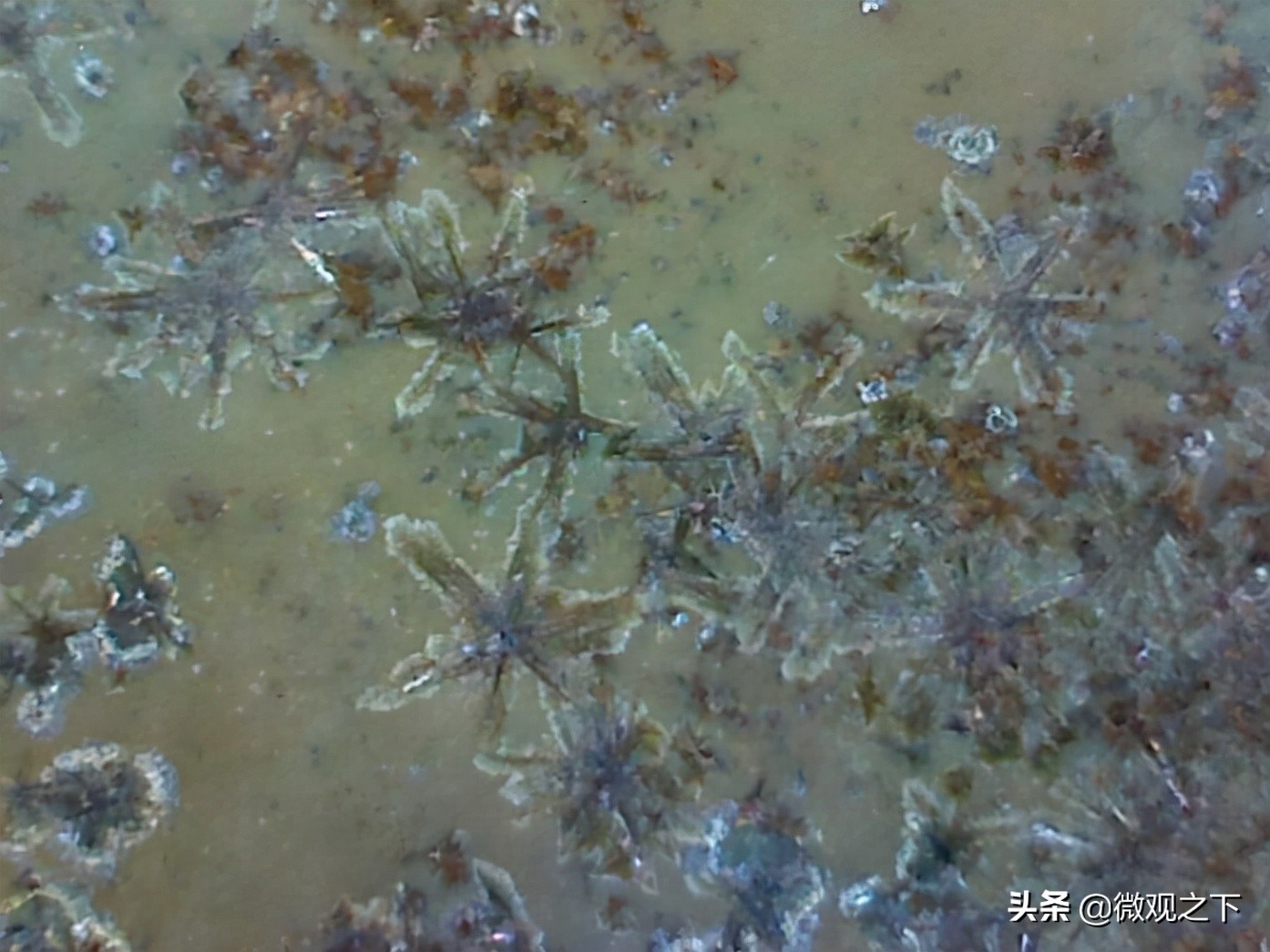 瓷器识别基础知识,瓷器微观鉴定视频教程