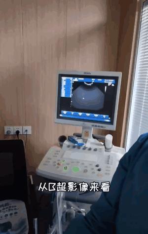 博美怀孕了会怎样,二哈让博美怀孕