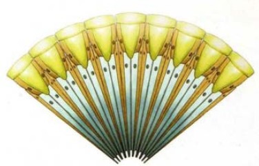 人的眼睛在动物界的水平,人的视力在动物界排名