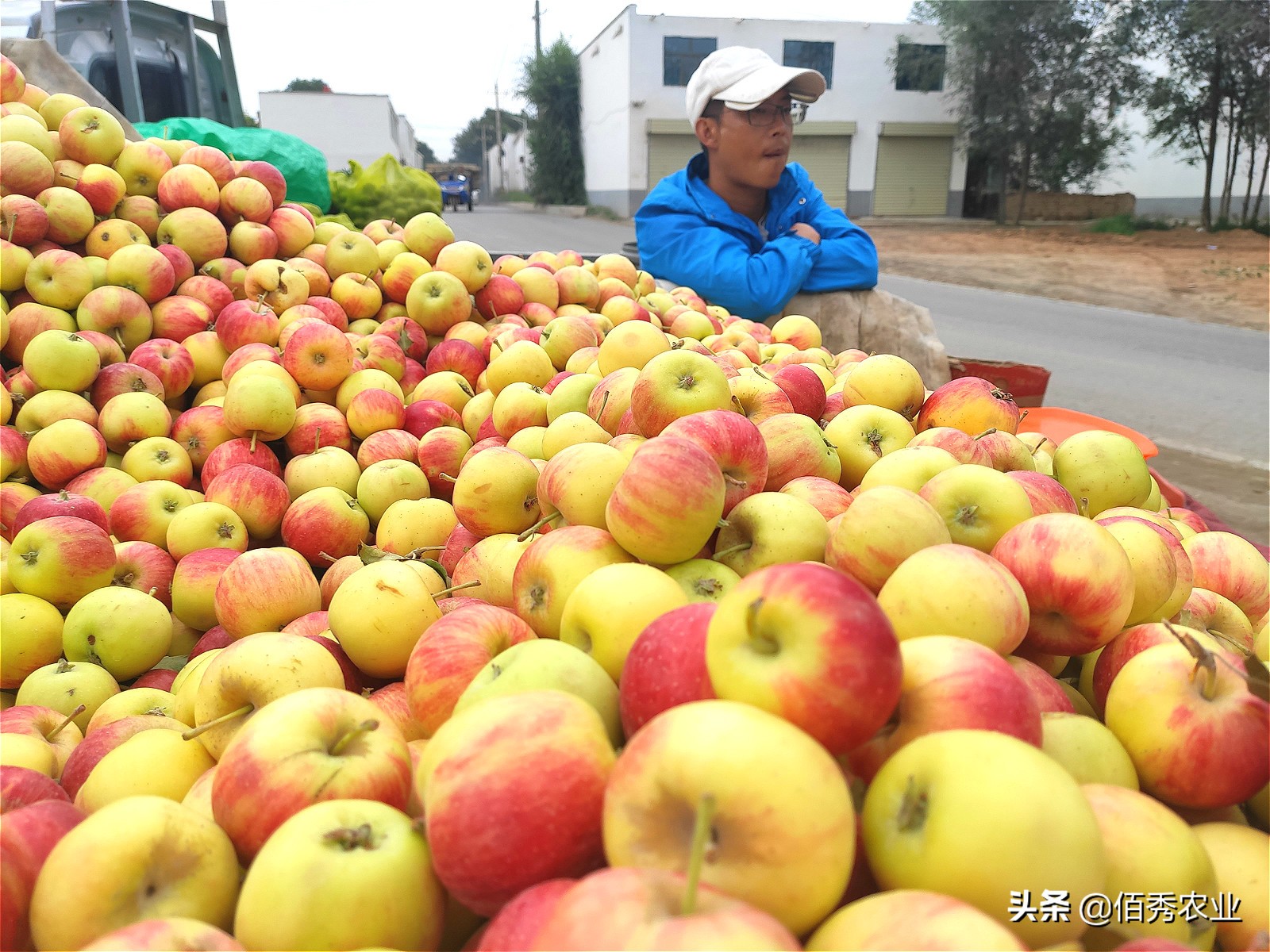 路边的水果摊可信吗,路边上的水果摊