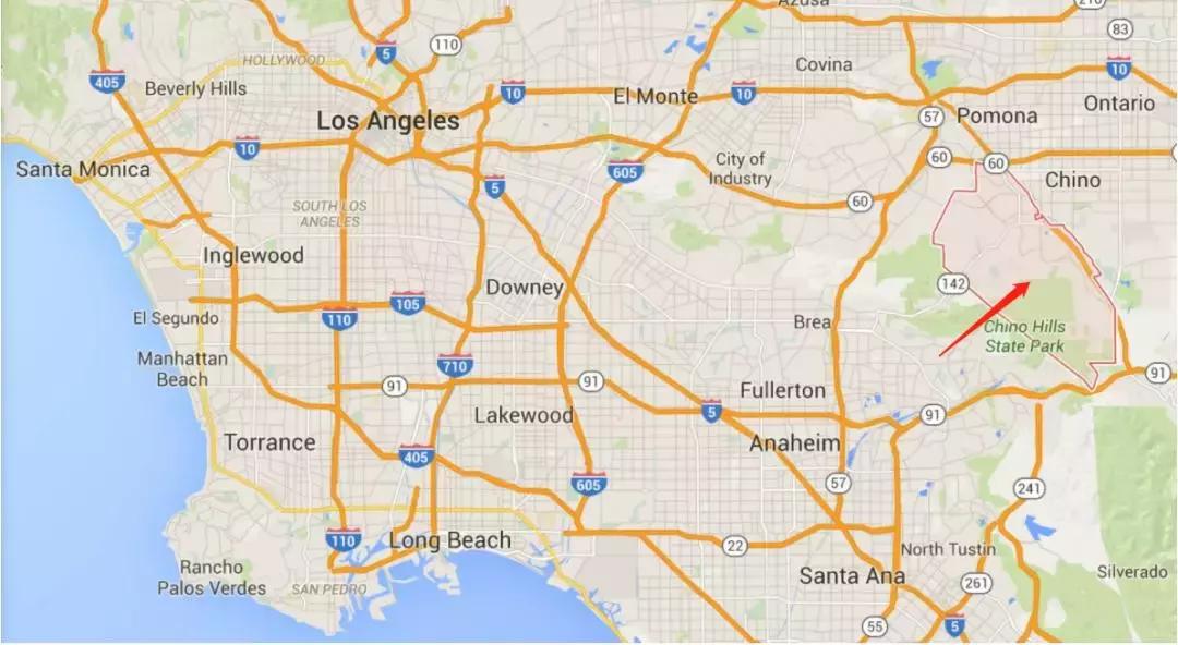 欧气满满一整年,欧气满满首付多少