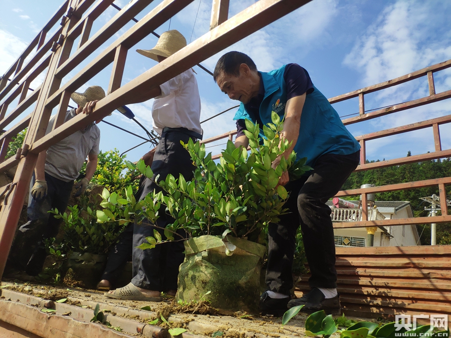 碧桂园精准扶贫基地,碧桂园乡村振兴大赛
